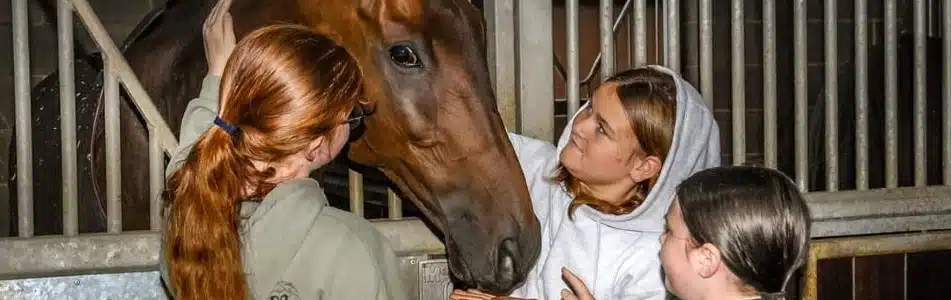 City & Guilds Level 2 Technical Certificate in Equine Care - students with horse
